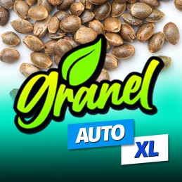 🌱 Moby Dick XXL Automática TESTER